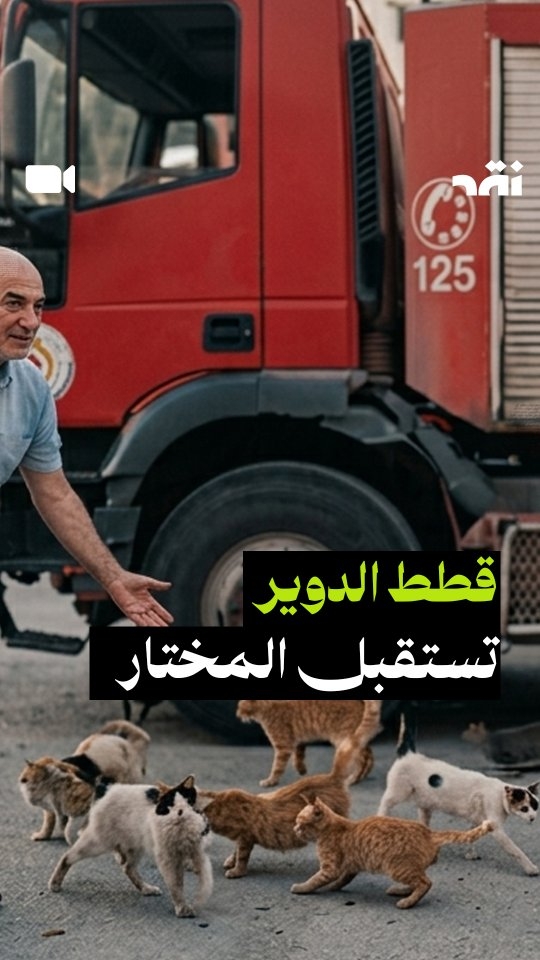 قطط الدوير تستقبل المختار