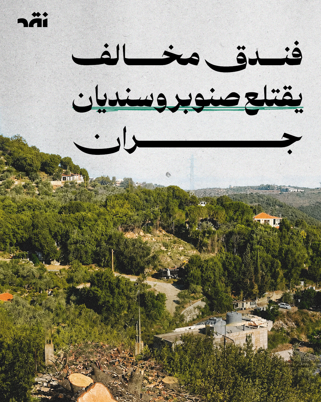 فندق مخالف يقتلع صنوبر وسنديان جران