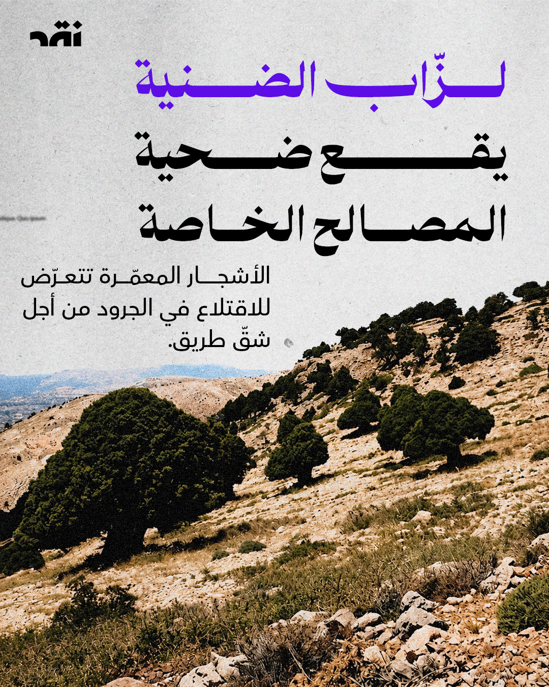 لزّاب الضنية يقع ضحية المصالح الخاصة