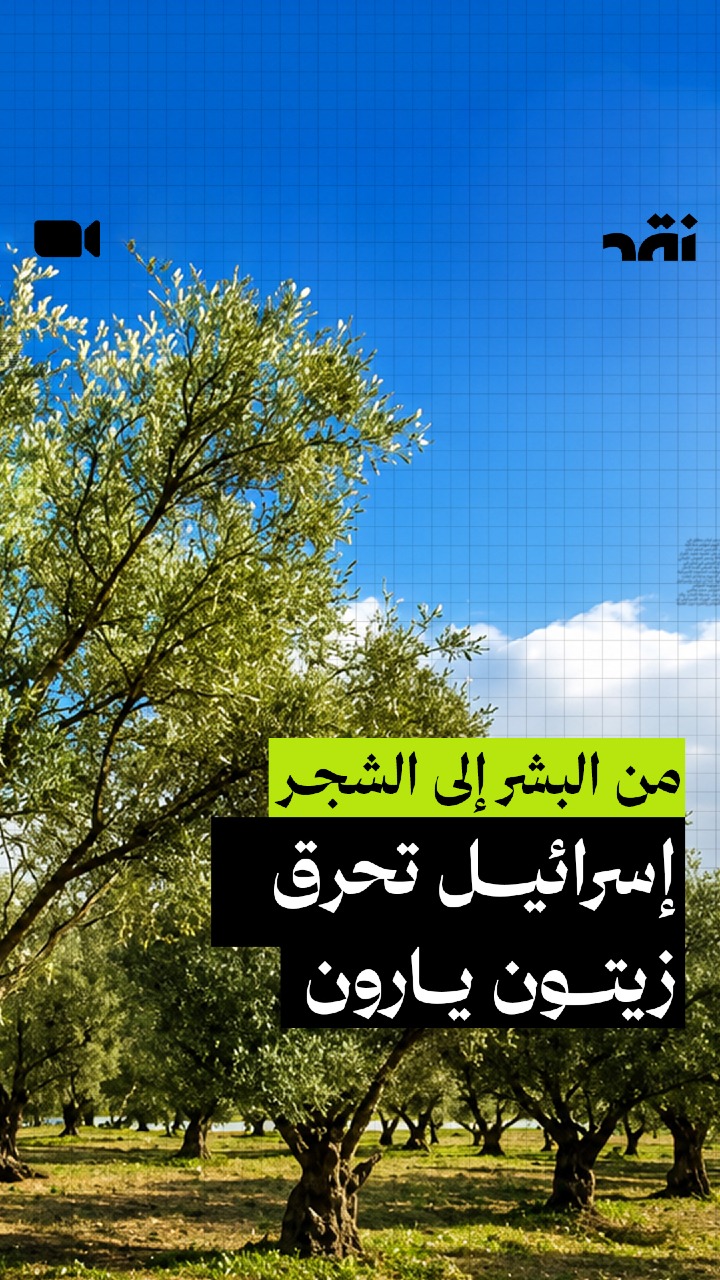 من البشر إلى الشجر إسرائيل تحرق زيتون يارون