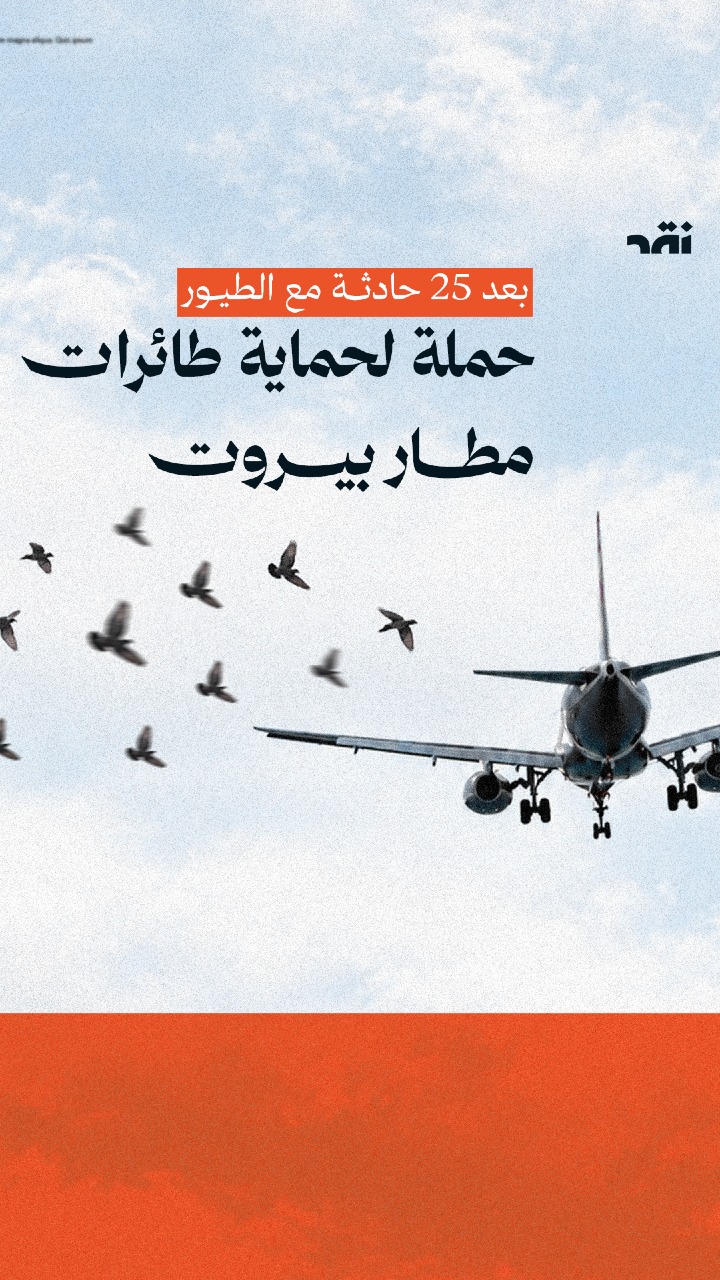 بعد 25 حادثة مع الطيور حملة لحماية طائرات مطار بيروت