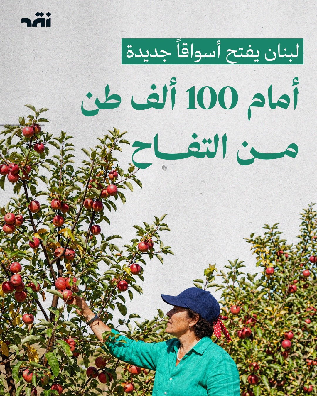لبنان يفتح أسواقاً جديدة أمام 100 ألف طن من التفاح