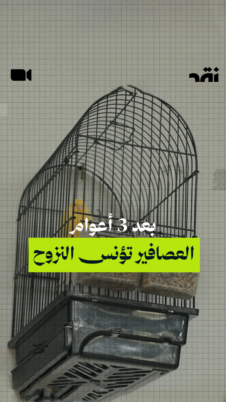 بعد 3 أعوام… العصافير تؤنس النزوح