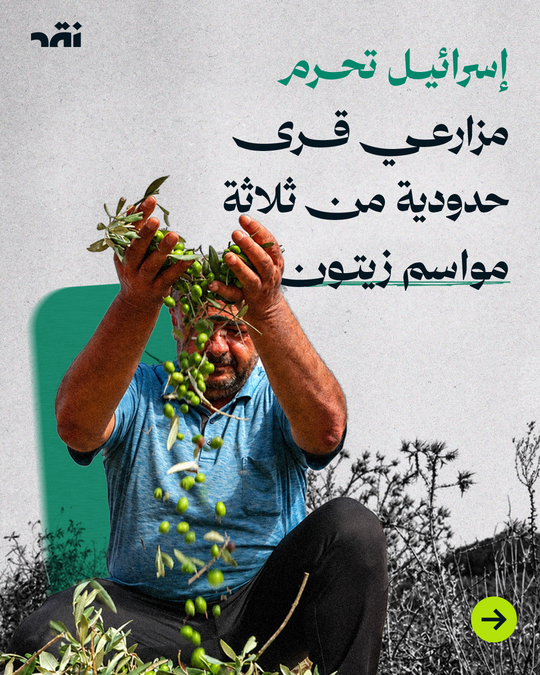إسرائيل تحرم مزارعي قرى حدودية من ثلاثة مواسم زيتون